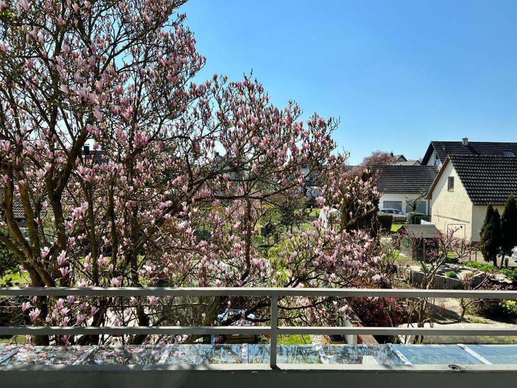 Ferienwohnungen Verma Schwanau Exteriér fotografie