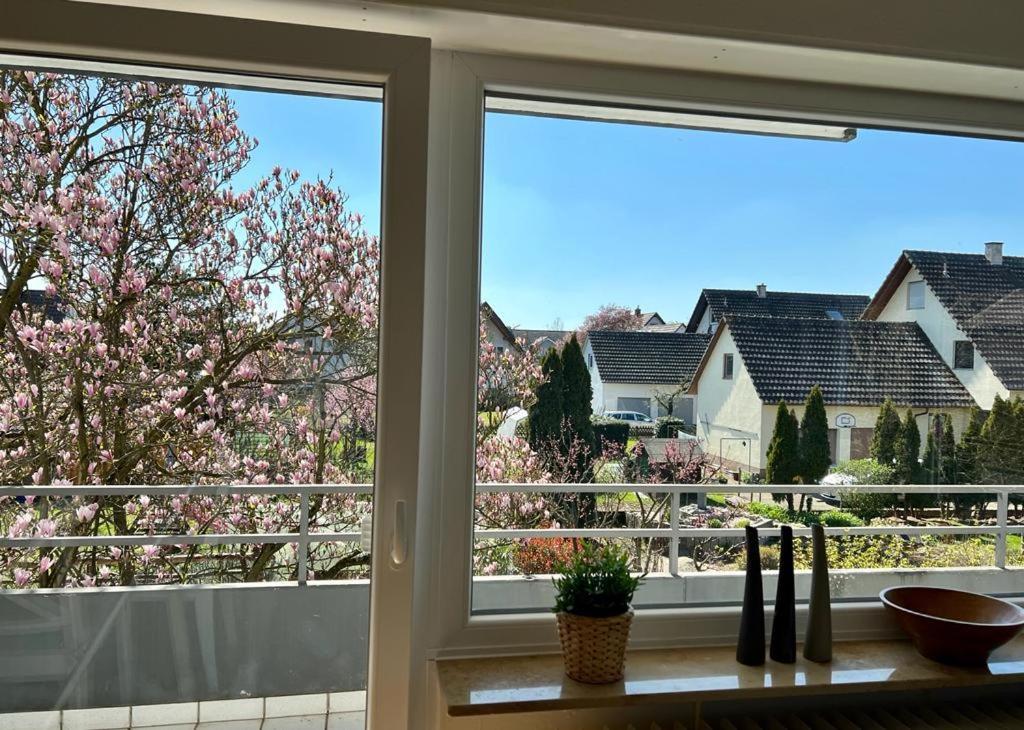 Ferienwohnungen Verma Schwanau Exteriér fotografie